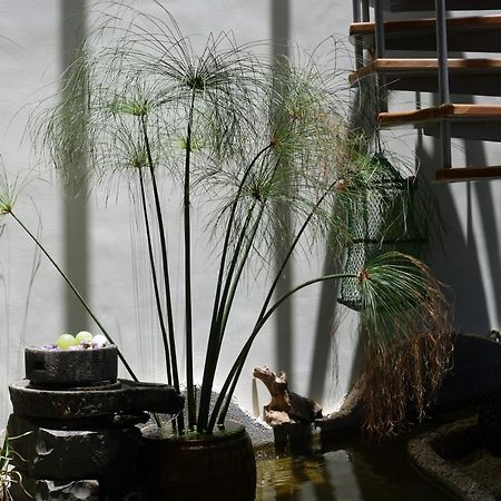 Penghu Kite House Διαμέρισμα Magong Εξωτερικό φωτογραφία